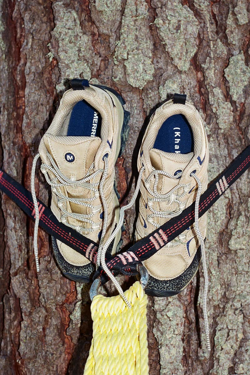 Chaussures de randonnée beige accrochées à un arbre avec des cordes.
