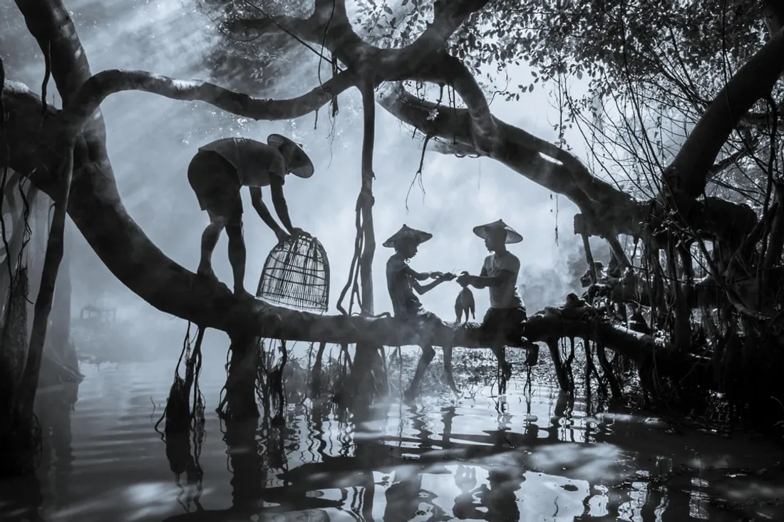 Scène forestière avec hommes et chien sur arbre au-dessus d'une rivière.