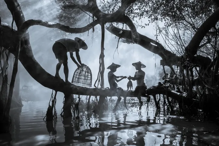 Scène forestière avec hommes et chien sur arbre au-dessus d'une rivière.
