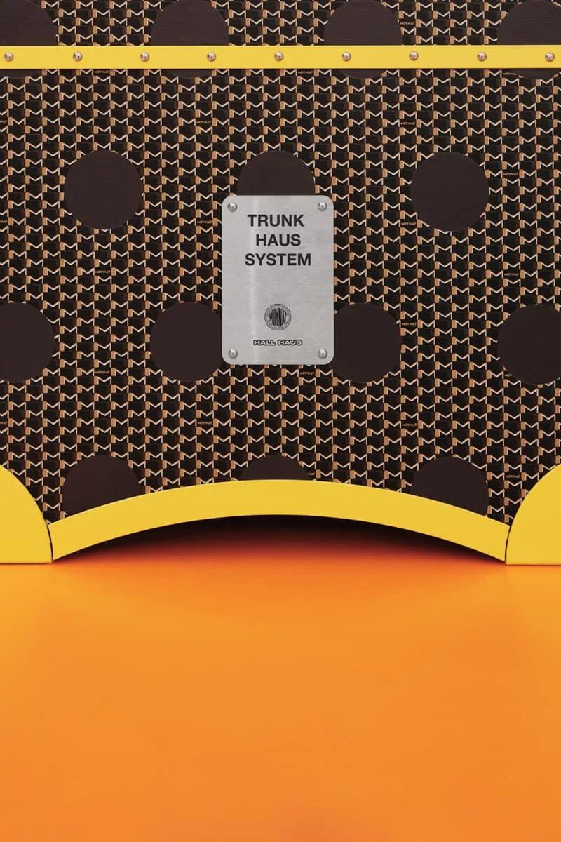 des-malles-moynat-cachent-un-systeme-son-imposant/carousel-7.jpg
