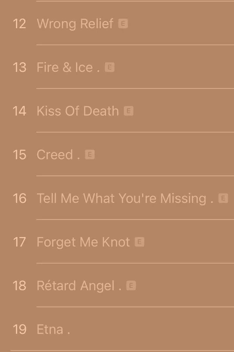 Liste de titres de chansons numérotés de 12 à 19 sur fond marron.
