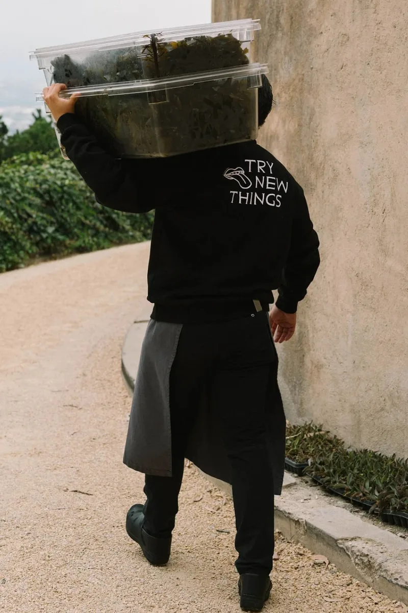 fragment-x-noma-projects-une-capsule-culinaire-unique/carousel-6.jpg