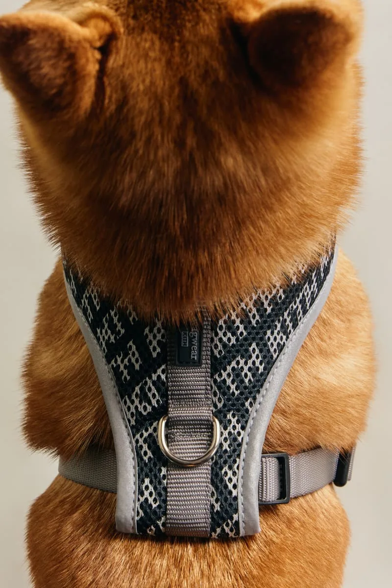 kith-et-wagwear-une-collection-sur-mesure-pour-chiens/carousel-10.jpg