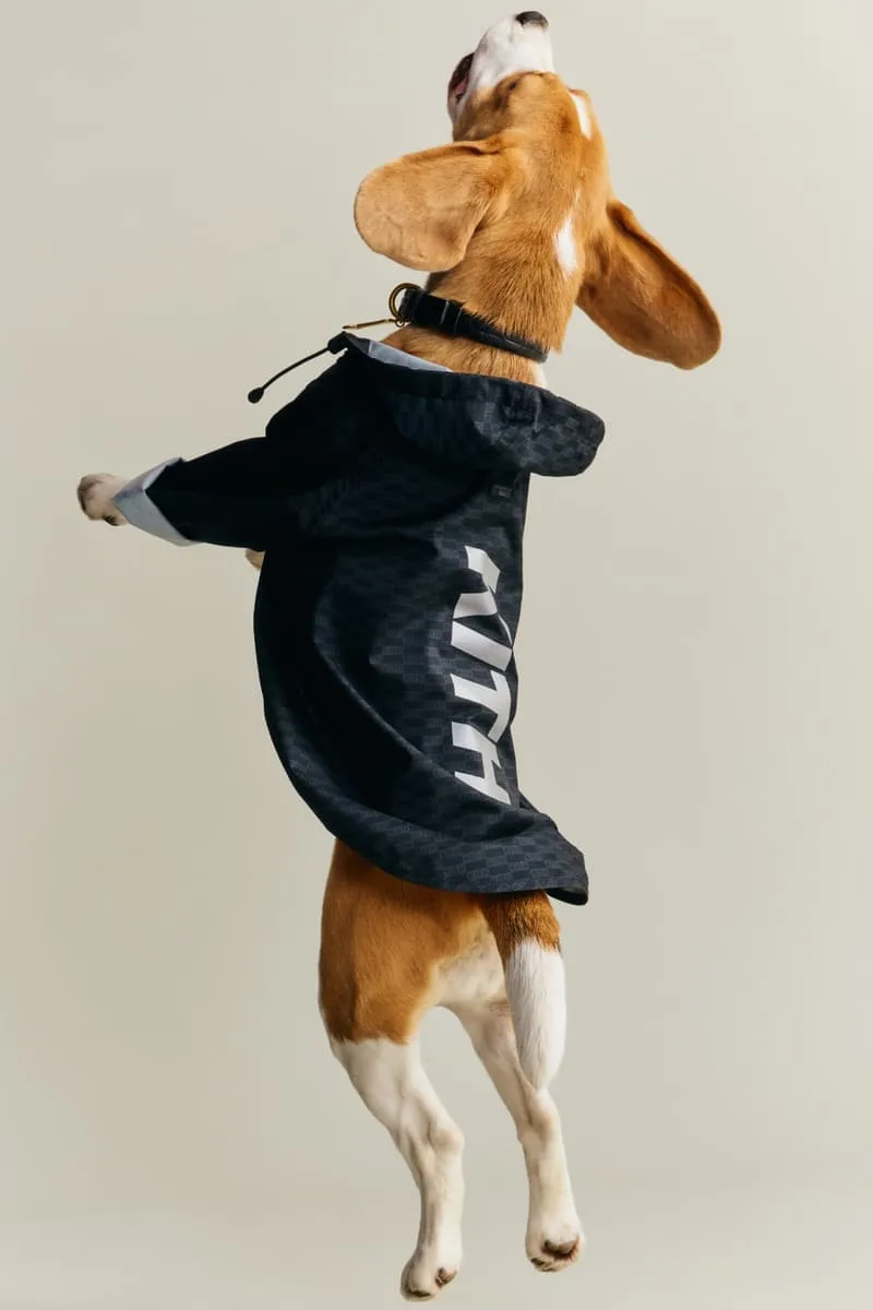 kith-et-wagwear-une-collection-sur-mesure-pour-chiens/carousel-11.jpg