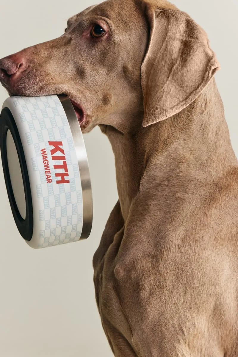 kith-et-wagwear-une-collection-sur-mesure-pour-chiens/carousel-13.jpg