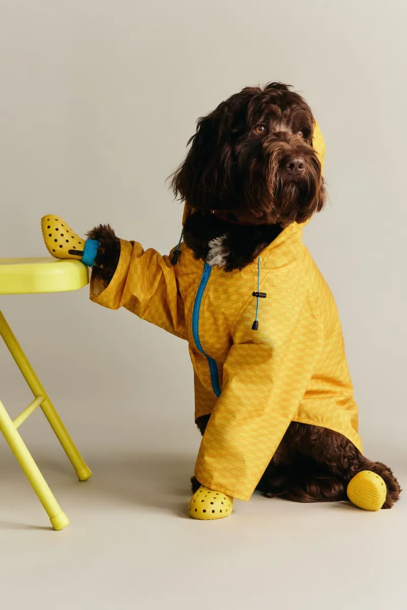kith-et-wagwear-une-collection-sur-mesure-pour-chiens/carousel-6.jpg