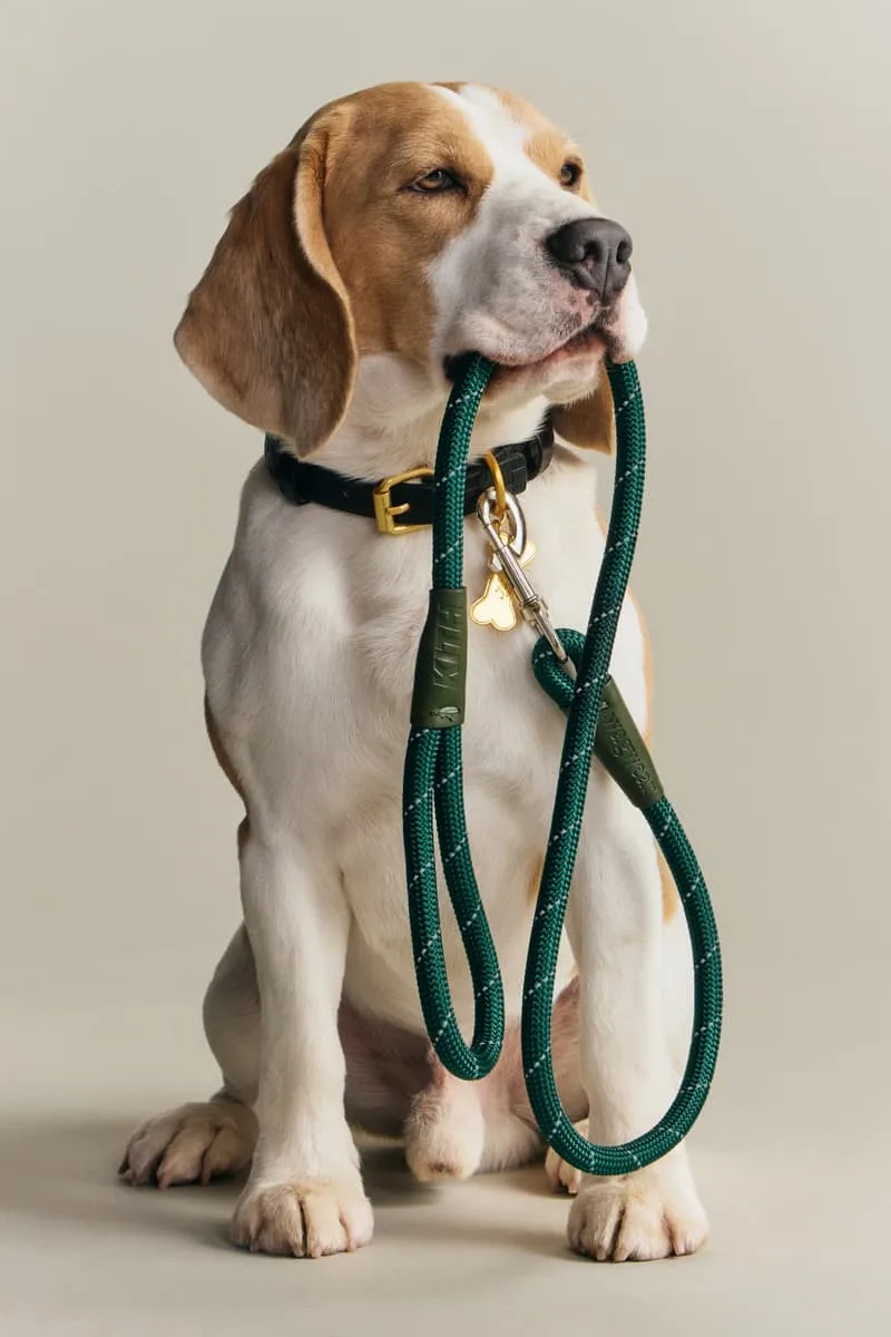 kith-et-wagwear-une-collection-sur-mesure-pour-chiens/carousel-7.jpg