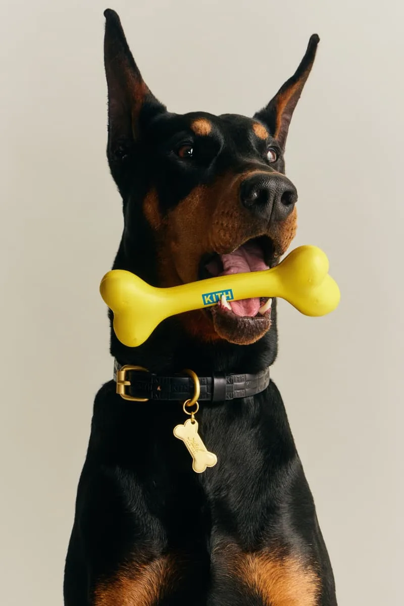 kith-et-wagwear-une-collection-sur-mesure-pour-chiens/carousel-8.jpg