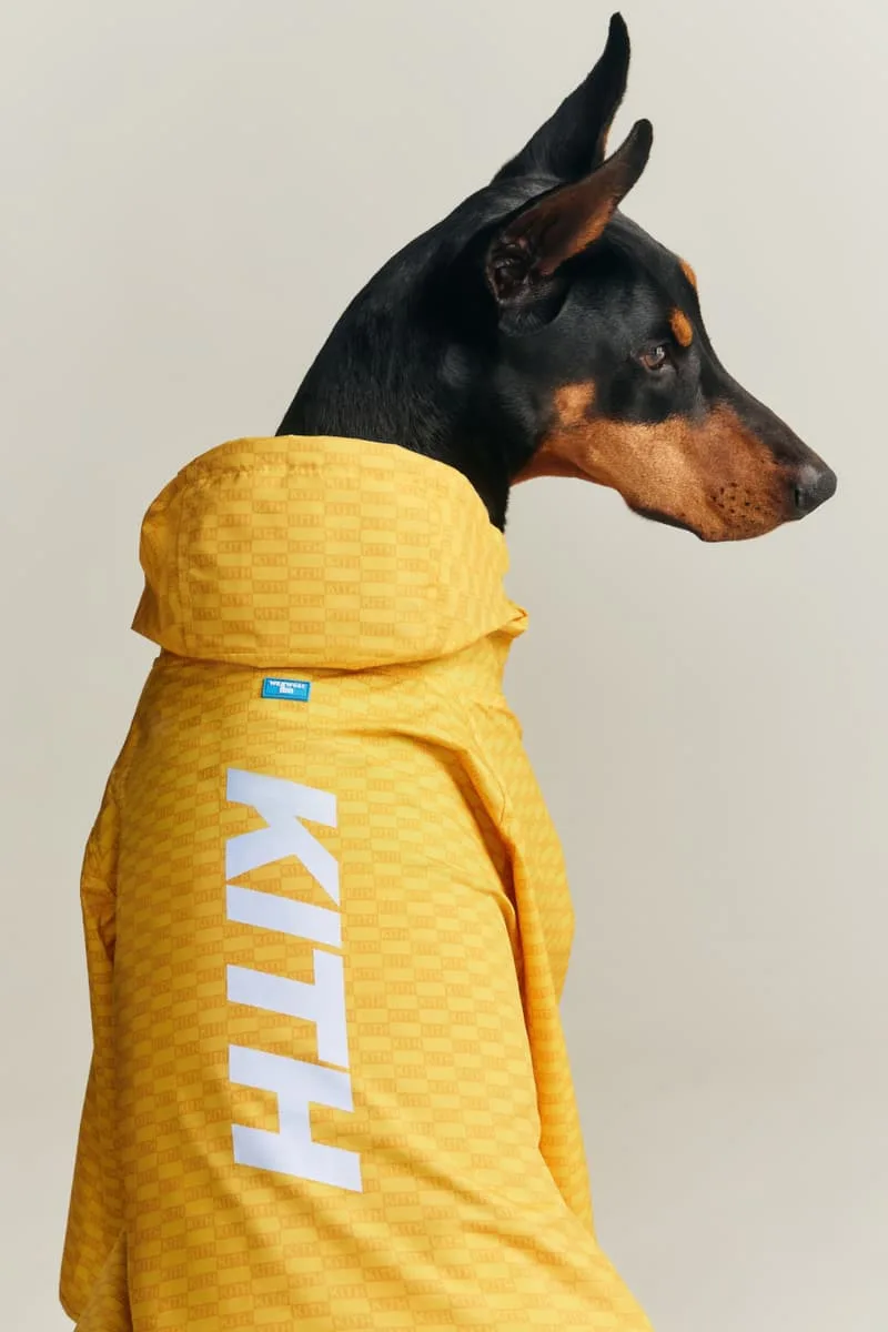 Un chien en manteau jaune avec le texte KITH sur le dos.