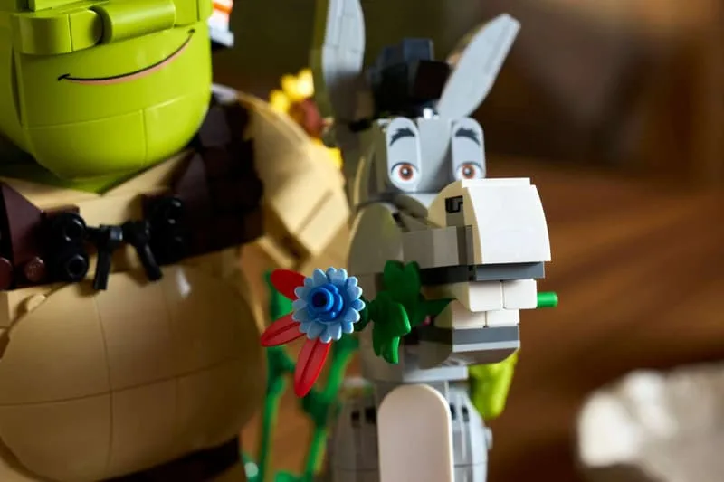 lego-celebre-le-25e-anniversaire-de-shrek-avec-des-sets-exclusifs/carousel-4.jpg