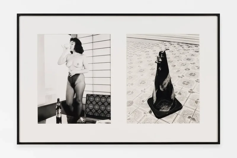 roe-ethridge-dialogue-visuel-avec-nobuyoshi-araki/carousel-10.jpg