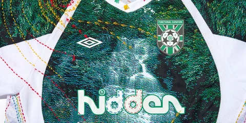 Maillot de football avec motifs naturels et logos.