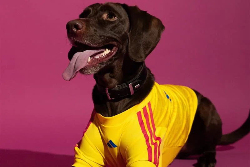 une-collection-adidas-pour-la-coupe-du-monde-2026-celebrant-nos-amis-a-quatre-pattes/carousel-10.jpg