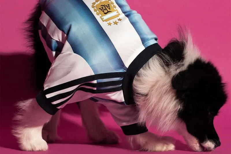 une-collection-adidas-pour-la-coupe-du-monde-2026-celebrant-nos-amis-a-quatre-pattes/carousel-12.jpg