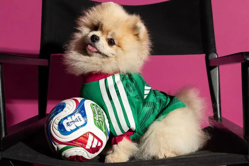 une-collection-adidas-pour-la-coupe-du-monde-2026-celebrant-nos-amis-a-quatre-pattes/carousel-2.jpg