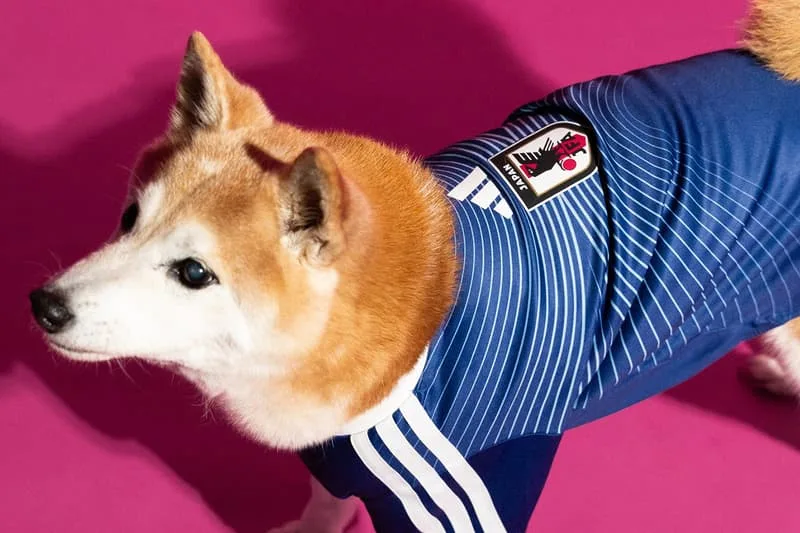une-collection-adidas-pour-la-coupe-du-monde-2026-celebrant-nos-amis-a-quatre-pattes/carousel-7.jpg