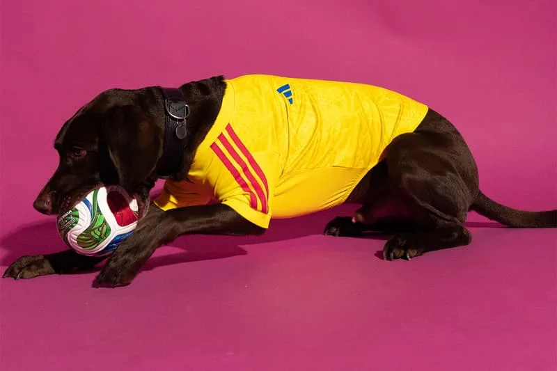 une-collection-adidas-pour-la-coupe-du-monde-2026-celebrant-nos-amis-a-quatre-pattes/carousel-9.jpg